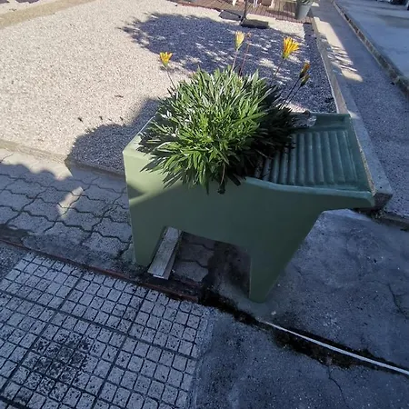 Дом отдыха Casa Da Alfarim Сесимбра